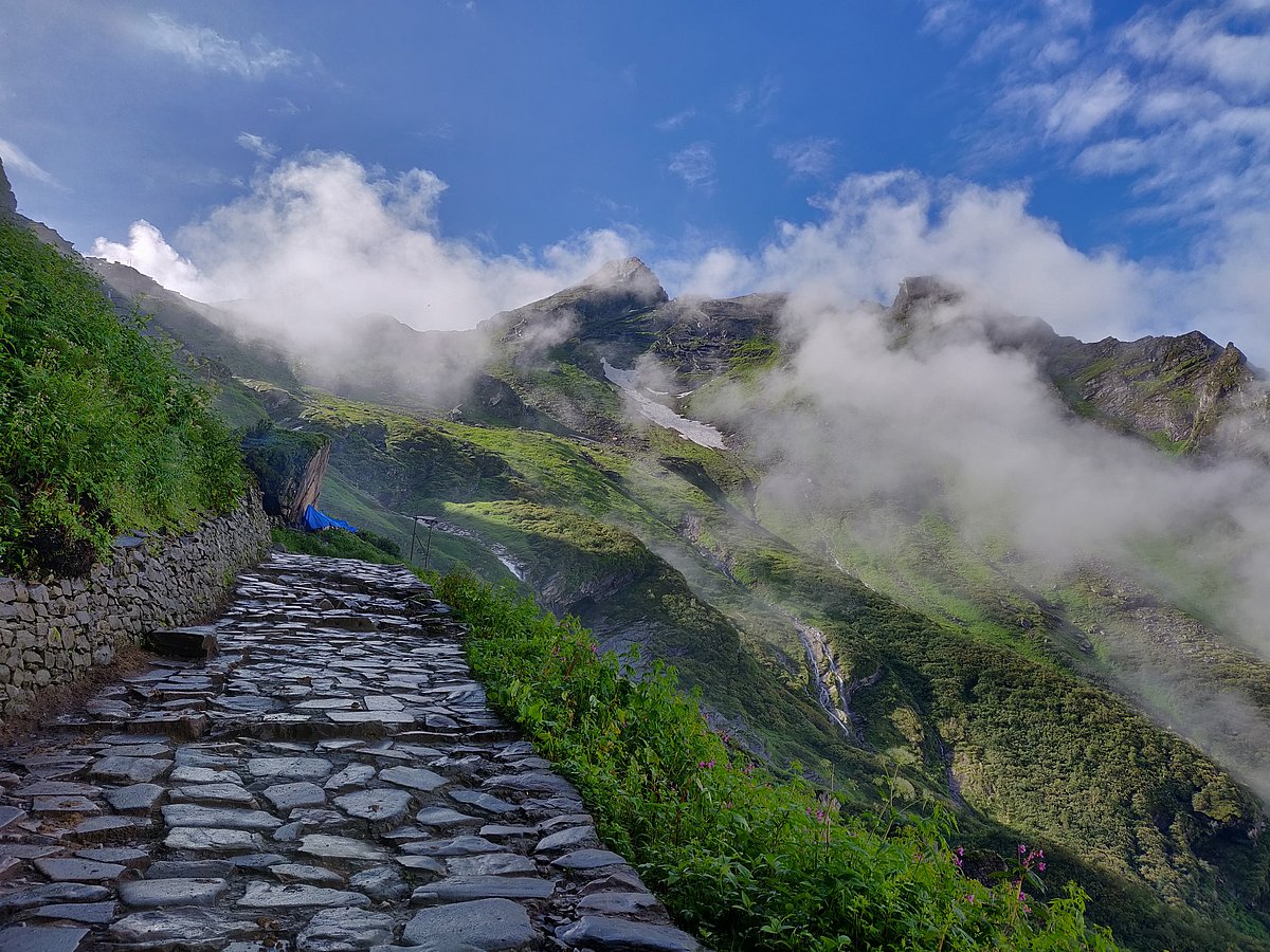 A view of Govindghat