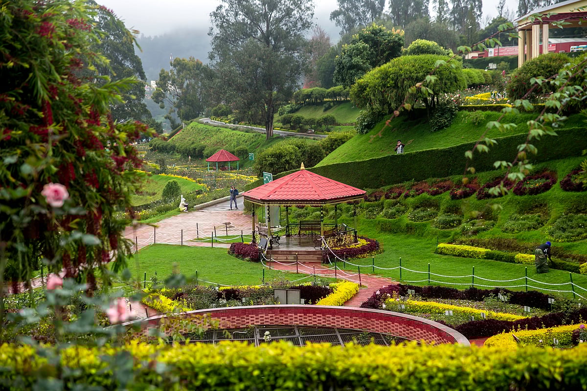 A view of the magnificent Rose Garden of Ooty