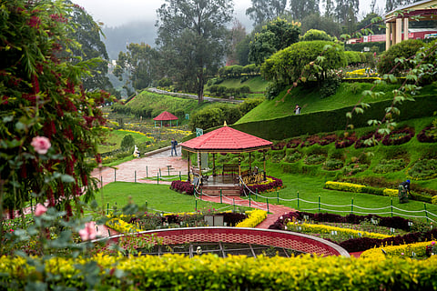 A view of the magnificent Rose Garden of Ooty