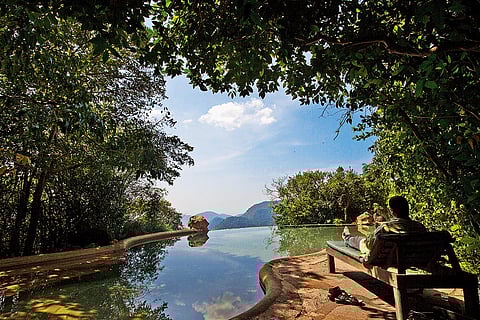 The pool area at Wildernest