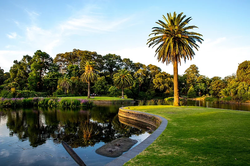 A look at the Royal Botanic Gardens Melbourne