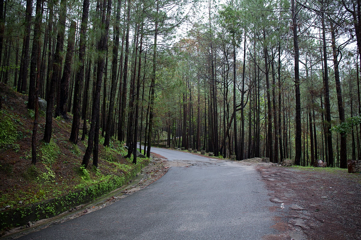 Take meandering walks through the town 