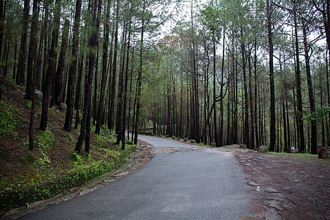 Take meandering walks through the town 