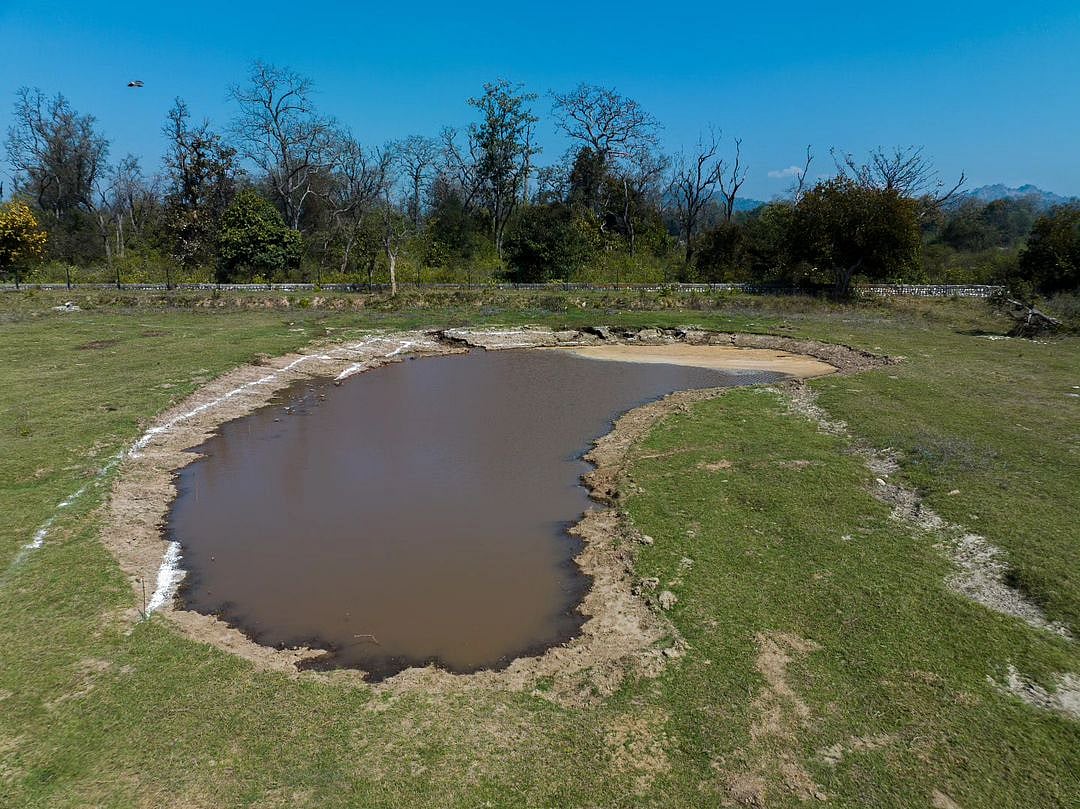 Man-made lake at the private forest