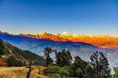Sunset views of Panchachuli from the summit of Khaliya Top