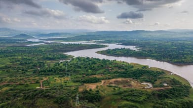 The Narmada is the largest flowing river in Madhya Pradesh