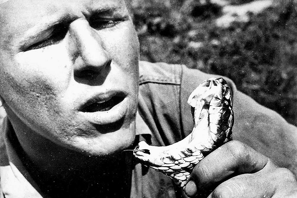Checking out the fangs of a water moccasin in Florida Everglades, 1964
