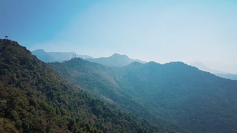 Blue mountain slop at Wayanad Wild