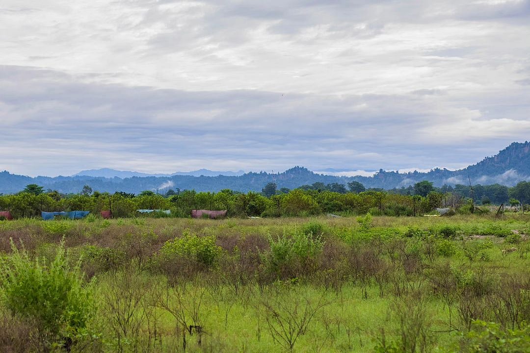 rajaji.biosphere/Instagram : Rajaji Raghati Biosphere, Uttarakhand