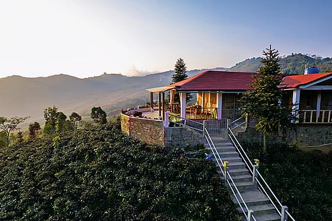 Konyak Tea Retreat is lodged within the Sayeang Tea Estate