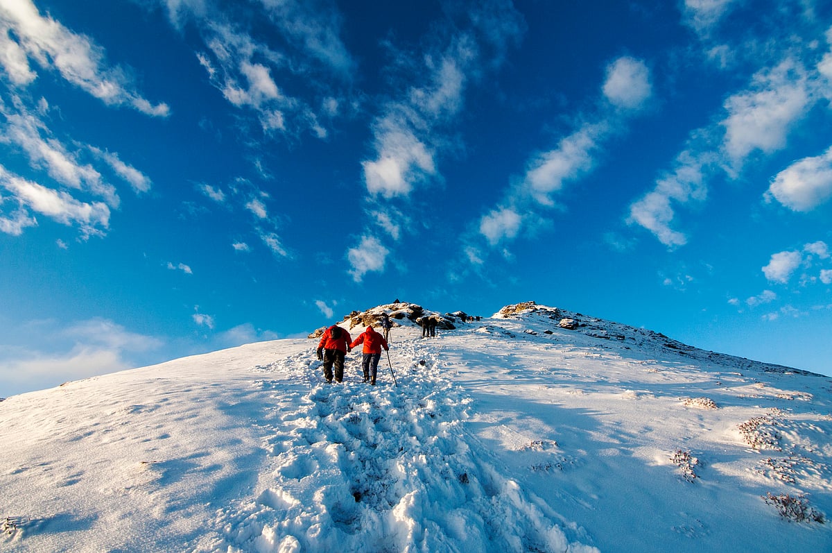 The last stretch of Kedarkantha Trek