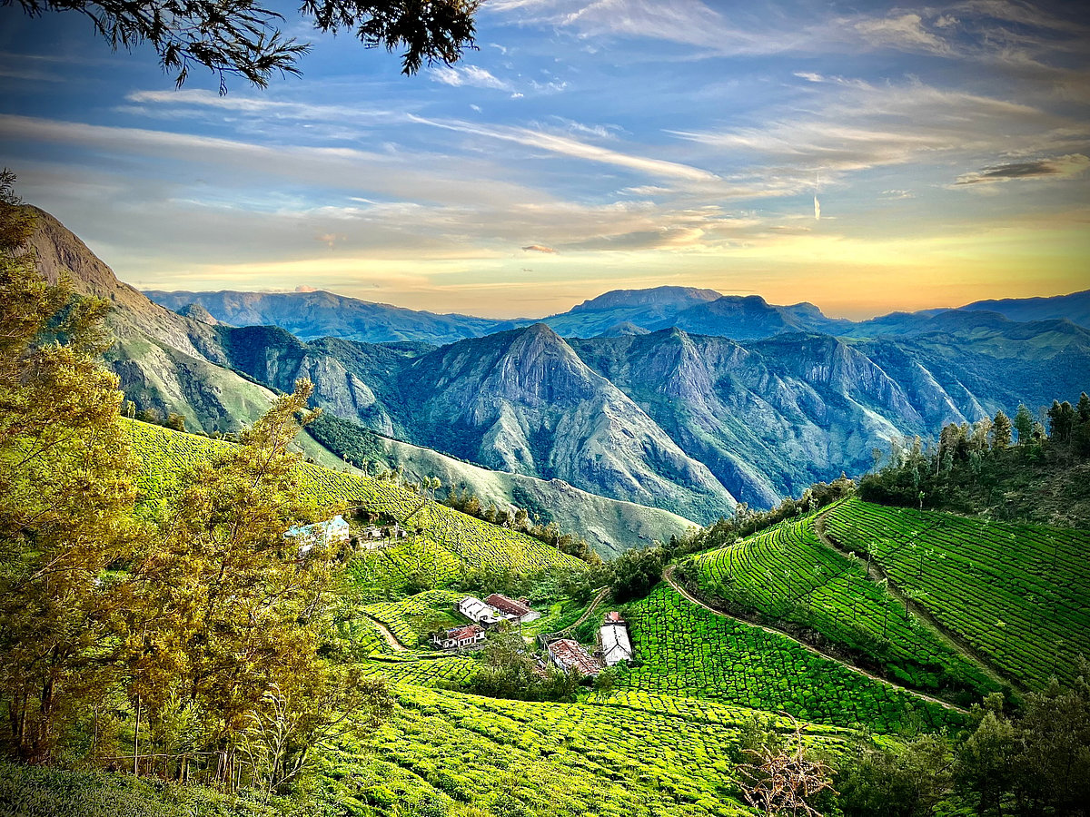A view of the Kolukkumalai Tea Estate