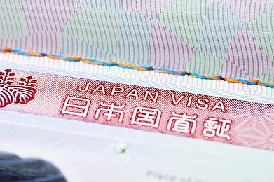 alice-photo/Shutterstock : If successful applicants will receive a 90-day tourist visa on their electronic devices
