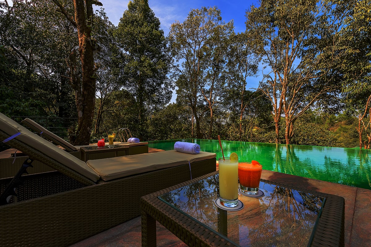 Wayanad Wild : Pool side at Wayanad Wild