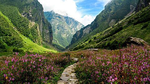 The Valley of Flowers reopened to public on June 1, 2025