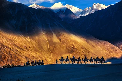 Dr Mitali Baruah/Shutterstock : Nubra Valley in Leh