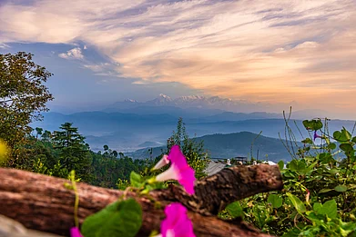 Shutterstock : Most people visiting Kausani often go without a plan
