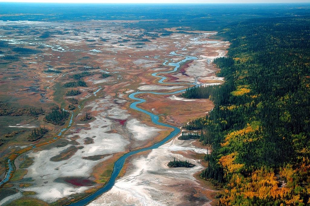 The salt plains of Wood Buffalo National Park