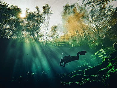 Erin Westgate/Shutterstock.com : The Sunshine State offers unparalleled opportunities for scuba diving