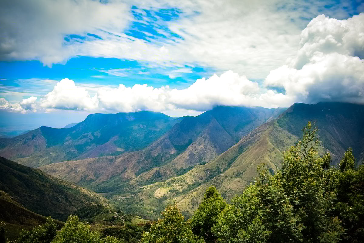 A view from the Top Station of Munnar