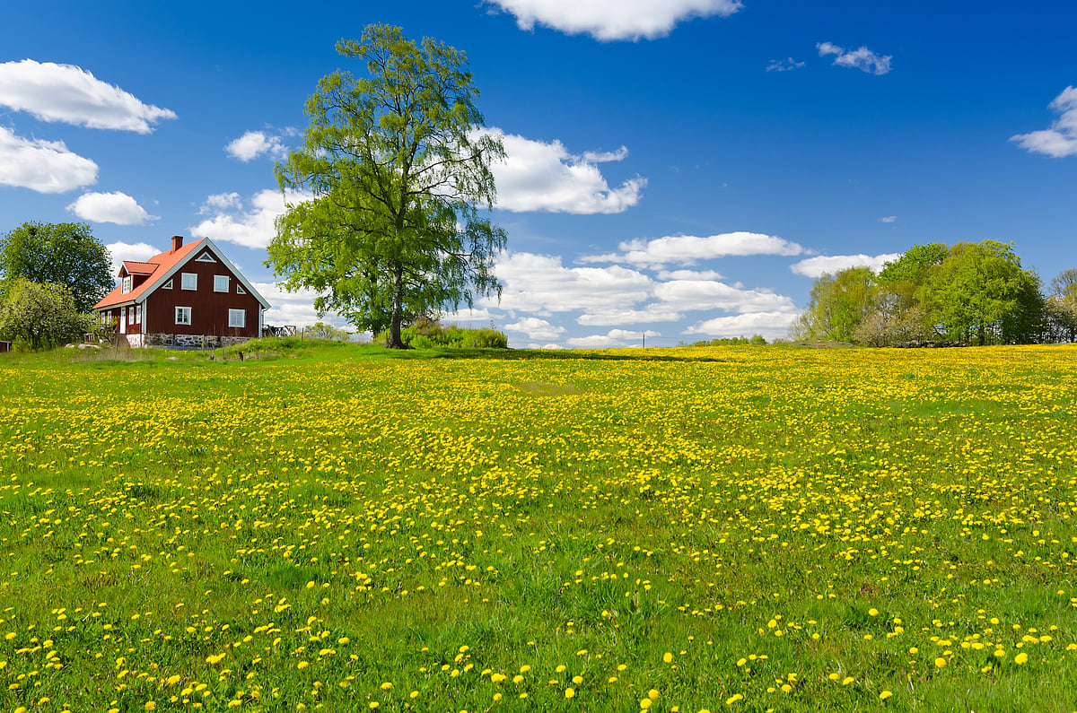 Spring in Sweden