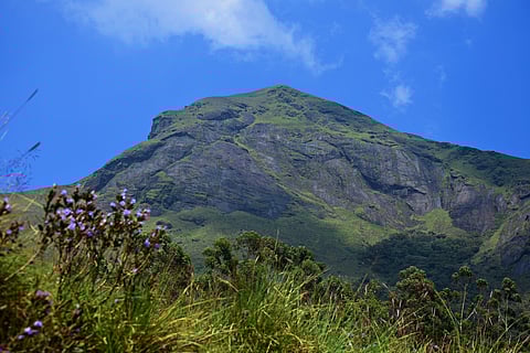 A view of the Anamudi Peak