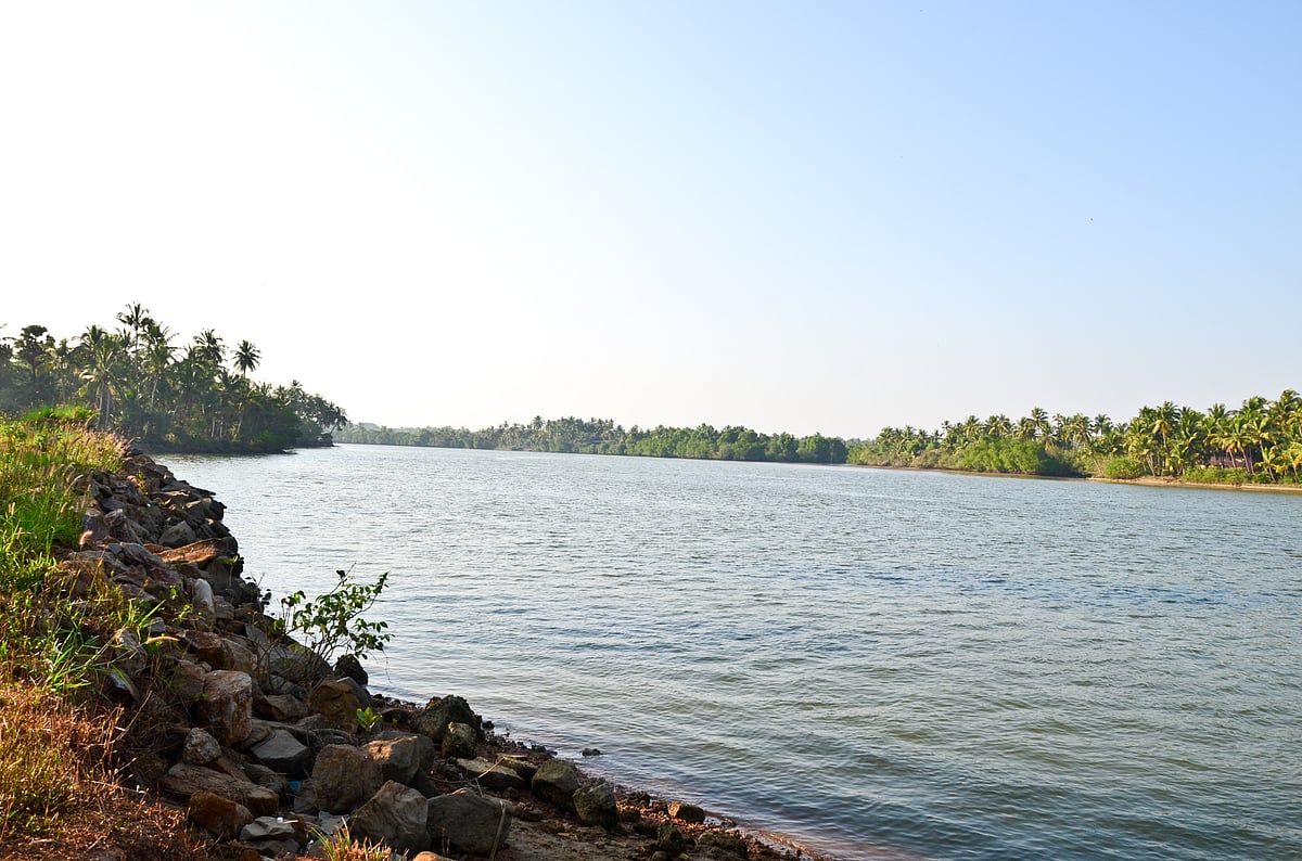 Shambhavi River