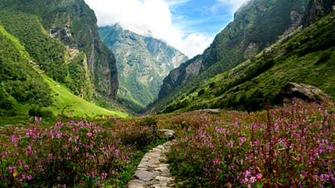 A view of the terrain at Valley of Flowers Trek