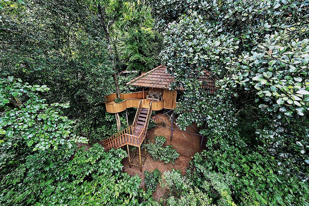 The columnists writing cottage in Wayanad