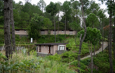 The villas have been built on an abandoned terraced forest