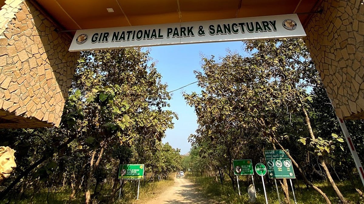 Gir National Park