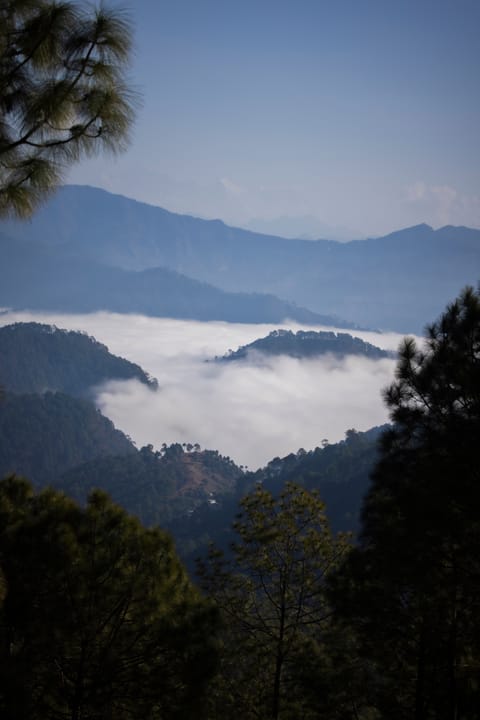 View of the Himalayas from Binsar