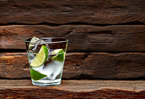 Absolut’s Aligatorad