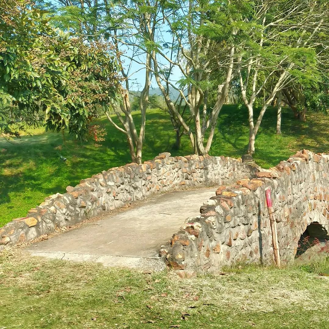 The 18-hole golf course has ponds and bridges