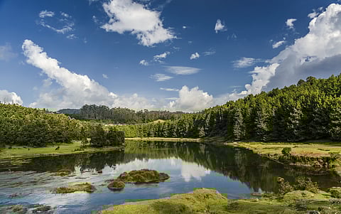 Pykara Lake in Ooty