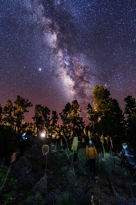 A group of stargazers observe the rich night sky
