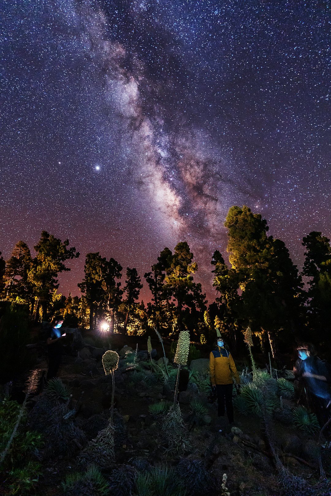 A group of stargazers observe the rich night sky