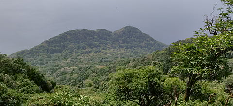 The South side basin of Narcondam island