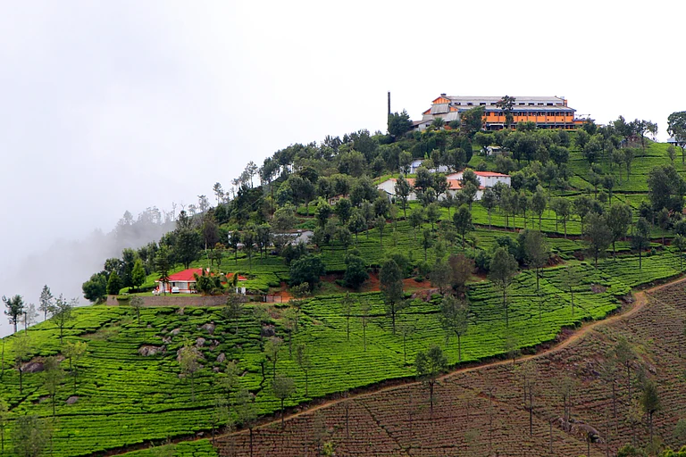 Homestays In Coonoor - Shutterstock
