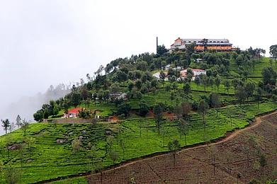 Shutterstock : Homestays In Coonoor