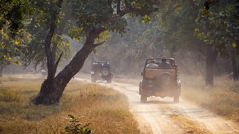 Panna Jungle Safari