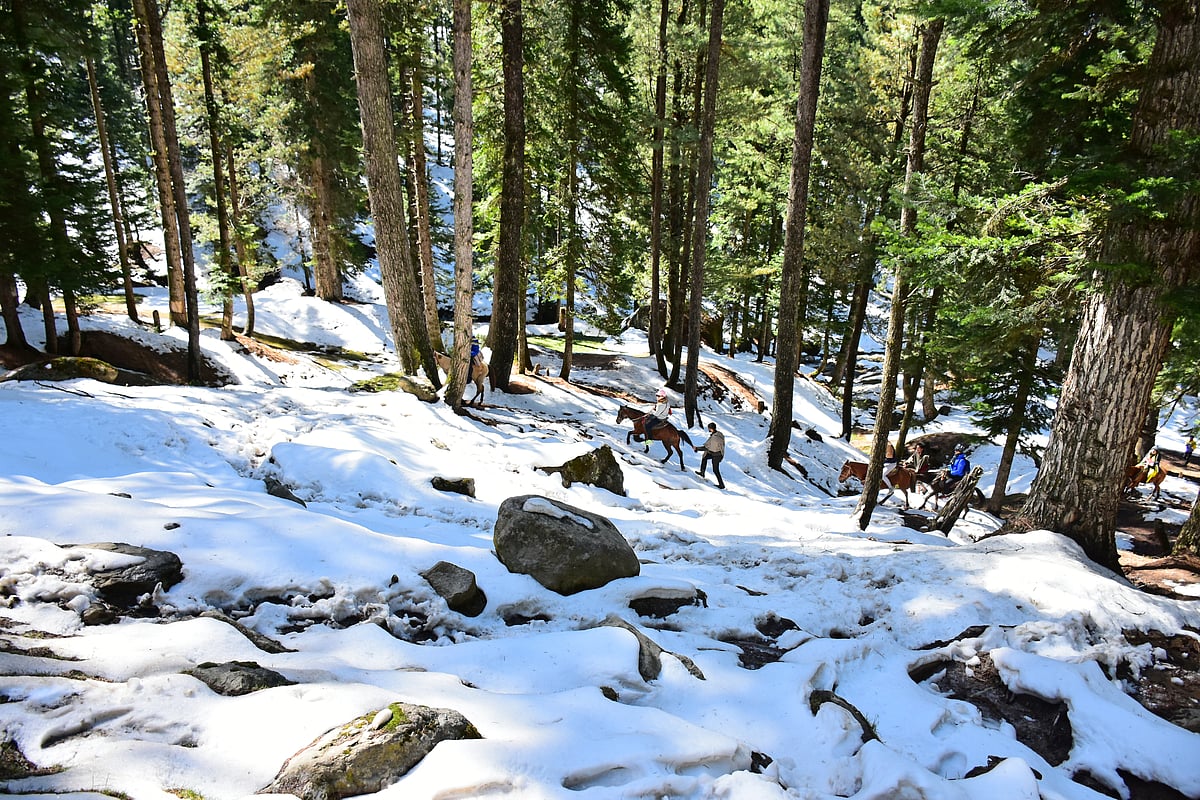 Pahalgam in south Kashmir received 13 cm of snow