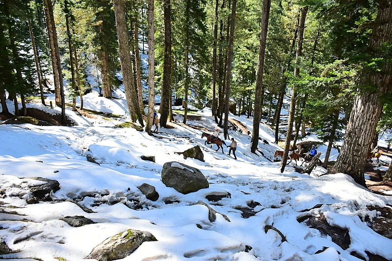 Pahalgam in south Kashmir received 13 cm of snow