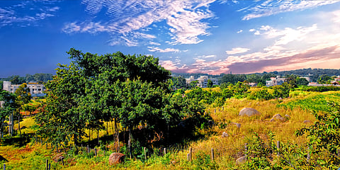 Yelagiri Hills