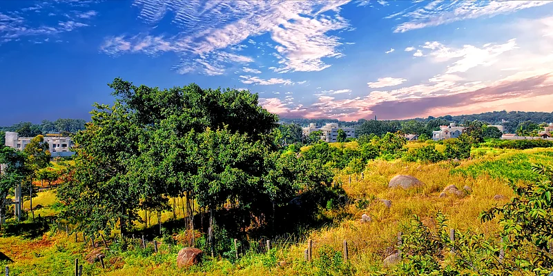 Yelagiri Hills