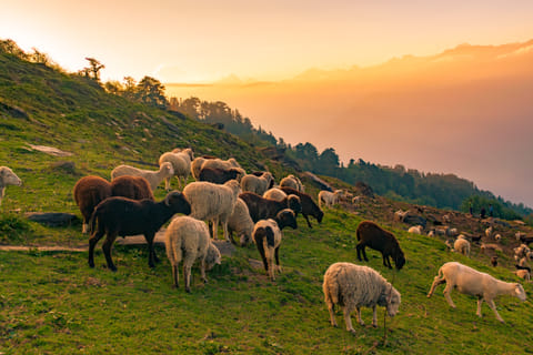 A view of the Pin Parvati Pass