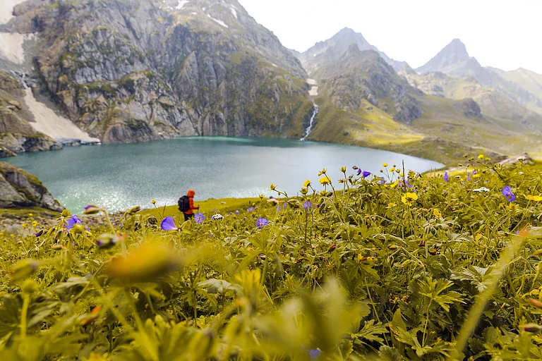 A trekker walks past Gadsar lake and a meadow full of flowers at Kashmir Great Lakes Trek (representational image) - Shutterstock