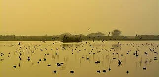 Okhla Bird Sanctuary