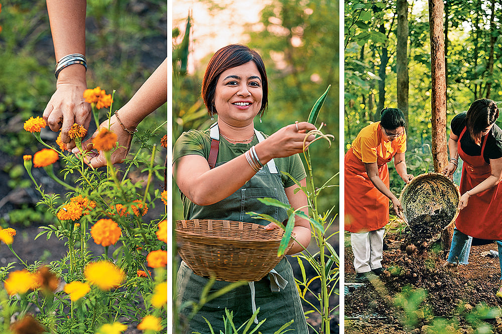 At Palaash, Chef Amninder Sandhus (centre) all-women team cooks with local ingredients in an open kitchen