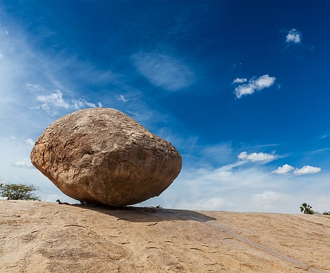 The Krishna’s Butterball perched on a slope